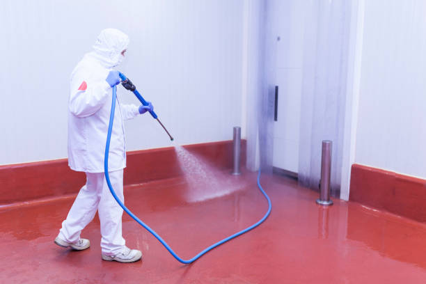 Best Patio and Deck Pressure Washing  in March Ar, CA